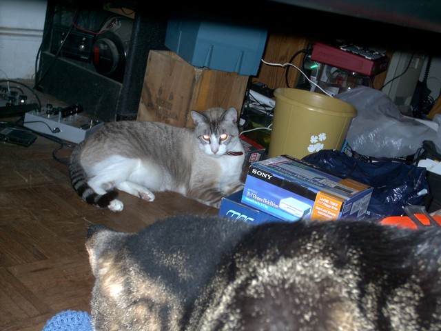 IMAG0199.JPG