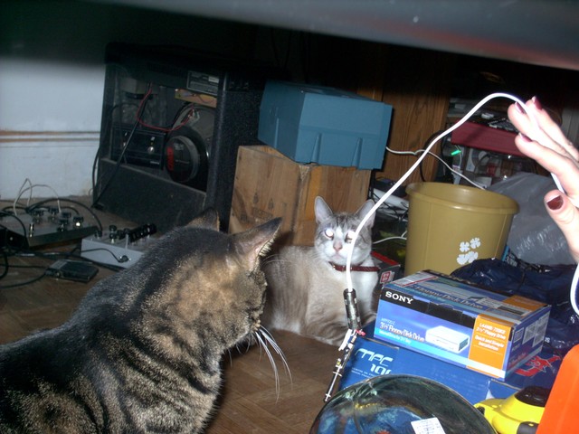 IMAG0200.JPG