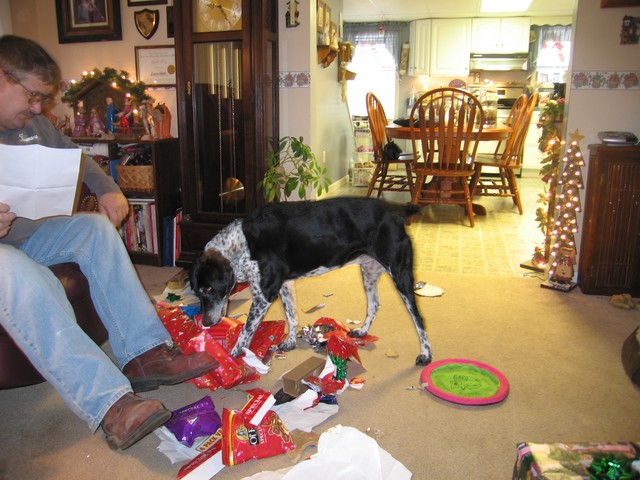 IMG_9808.jpg