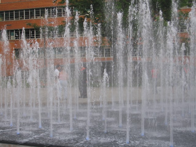 IMG_1704.JPG