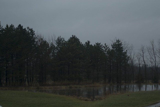 DSC07865.jpg