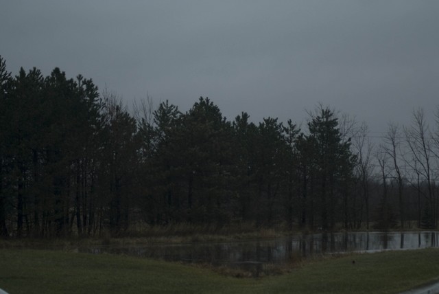 DSC07866.jpg