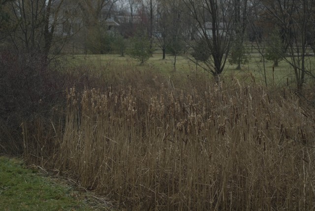 DSC07867.jpg