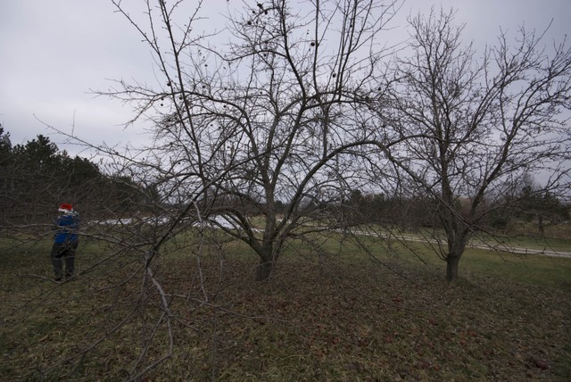 DSC07928.jpg