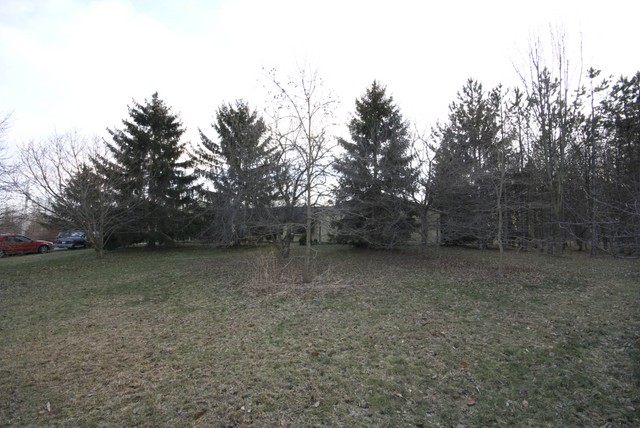 DSC08042.jpg