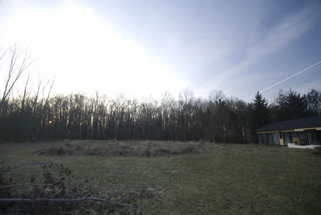 DSC08063.jpg