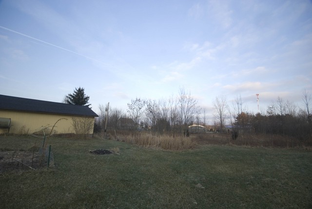 DSC08067.jpg