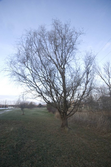 DSC08082.jpg