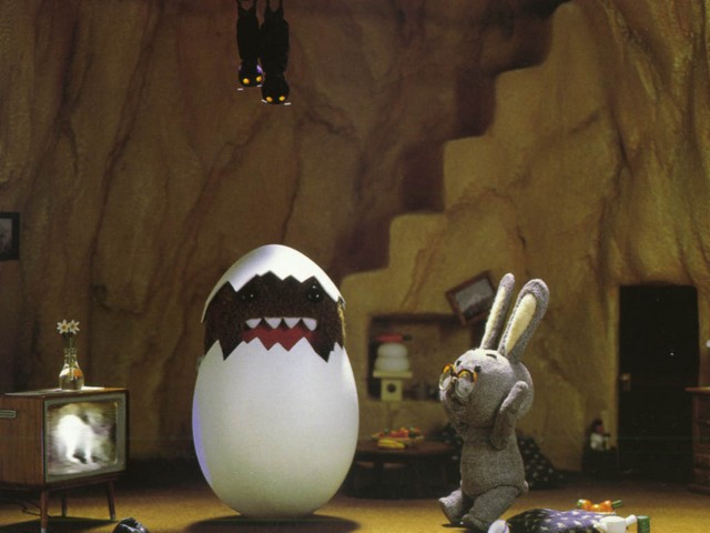 domo2