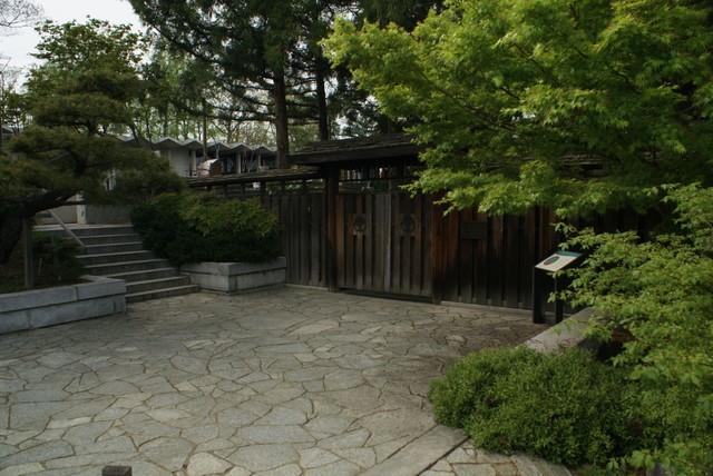 DSC05487.JPG