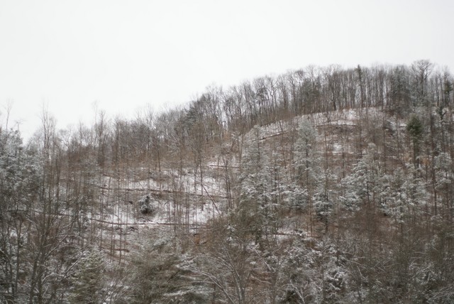 DSC01948.JPG